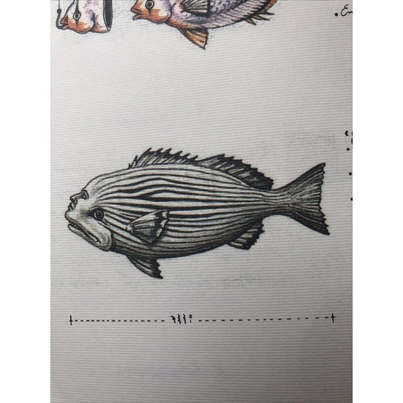 Luigi Serafini Codex Seraphinianus Print 83A - Picture 7 of 8